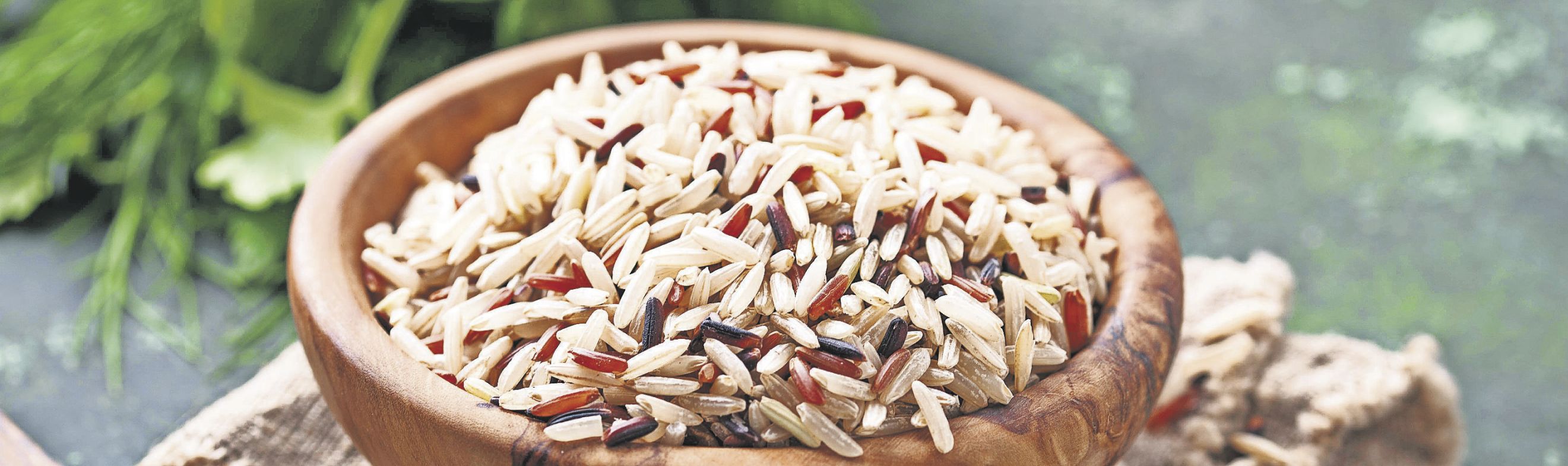 Minnesota Wild Rice Dressing